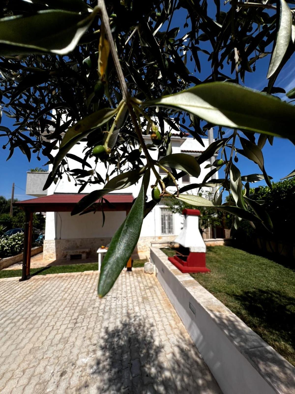 Casa Tesoro Villa Cisternino Ngoại thất bức ảnh